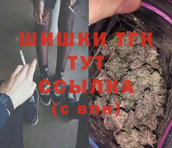 индика Козловка