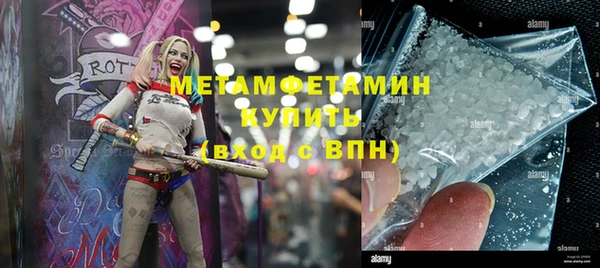 индика Козловка