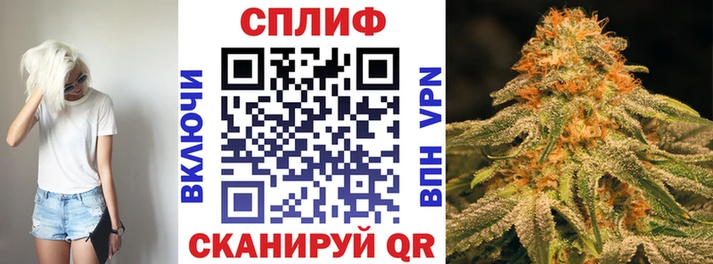 купить  сайты  Шимановск  Шишки марихуана планчик 